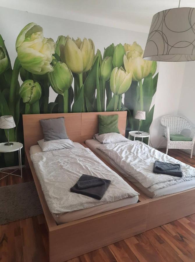 Das Tulpen Apartment ヴァイデン・アム・ゼー エクステリア 写真