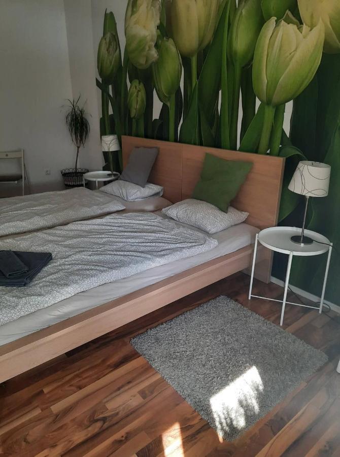 Das Tulpen Apartment ヴァイデン・アム・ゼー エクステリア 写真